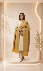 Elegant Artisanal Semi-Pashmina Unisex Stole